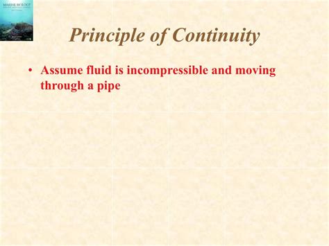 Principle of Continuity に対する画像結果