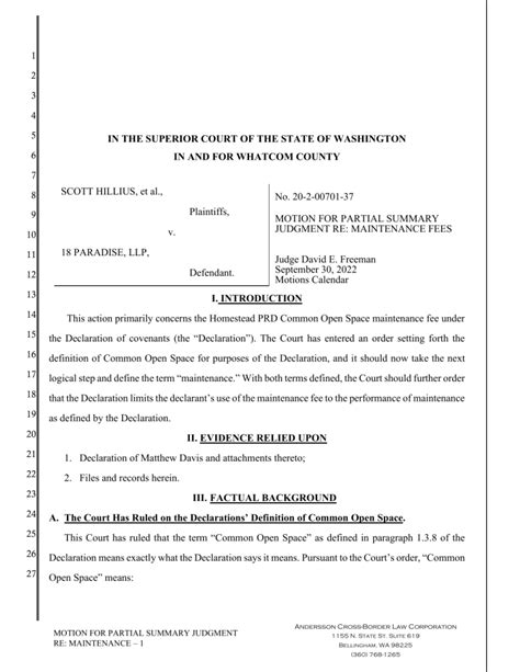 Toradh íomhá ar Summary Judgment Example