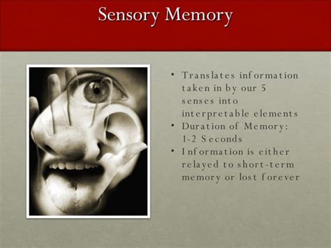 Image result for Blank Multi-Store Memory Model