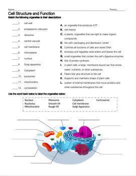 Image result for 7th Grade Cell Structure Worksheet