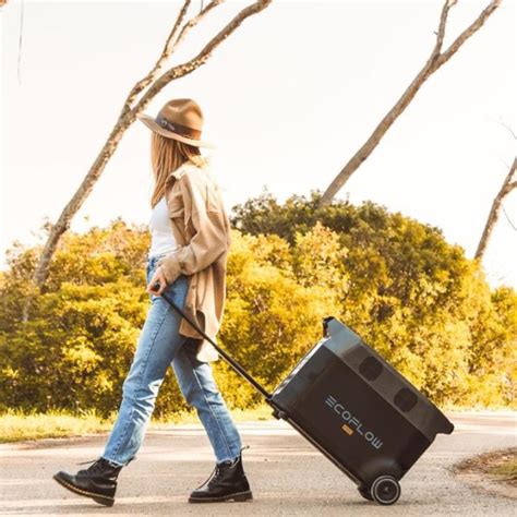 Image result for EcoFlow Reviews