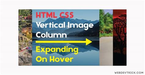 Image result for Css Vertical Multiple Columns Image Layout