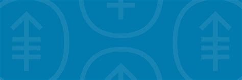 Transducer Array Optune に対する画像結果