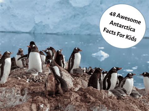 Image result for Antarctica for Kids