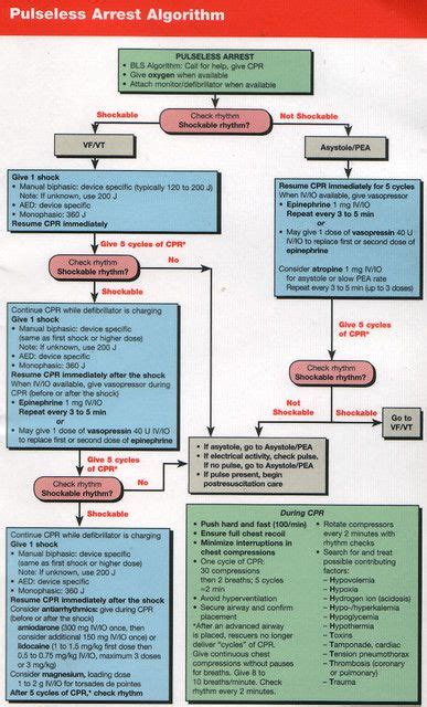 Afbeeldingsresultaten voor ACLS Pea Algorithm