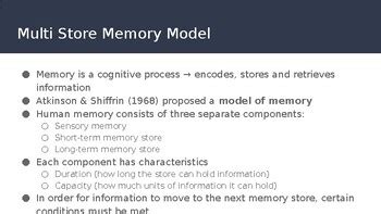 Image result for Multi-Store Memory Model Psychology