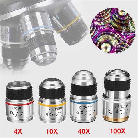 Image result for Different Lens On a Microscope Labeled