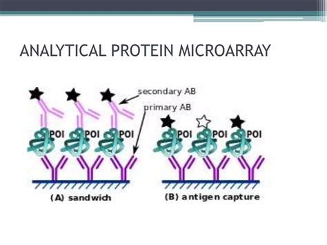 Toradh íomhá ar Protein Microarray Cartoon Images