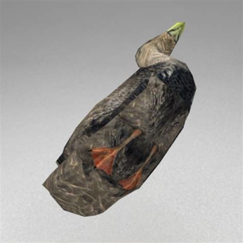 Duck Swimming 3D Model に対する画像結果