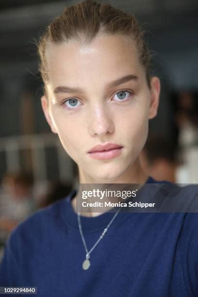 Image result for Lee Model