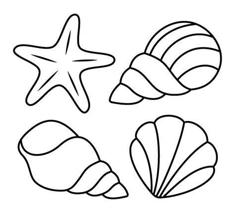 Image result for Shell Drawing Template