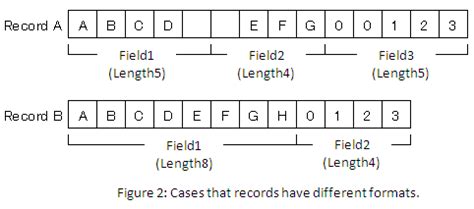 Image result for Fixed Length Dat File