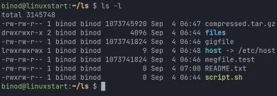 Image result for Command LS in Linus