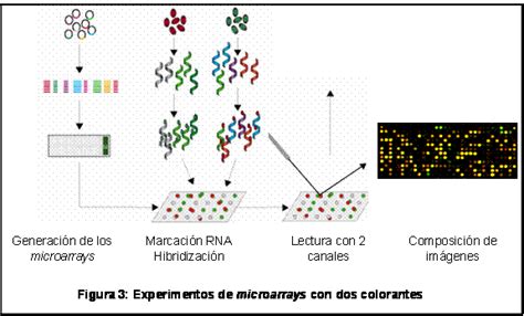 Afbeeldingsresultaten voor Microarray De ADN