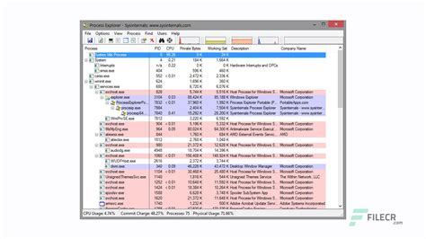 Image result for Process Explorer Download