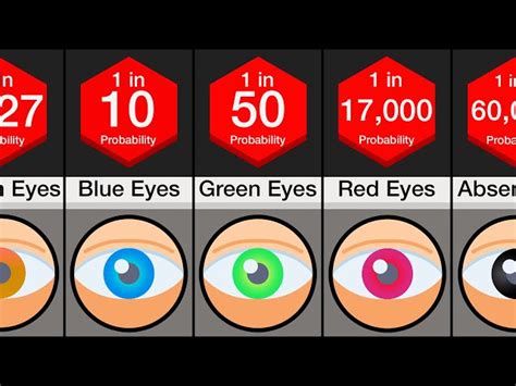 Image result for Eye Color Probability Chart