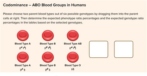 Image result for Blood Types Example for Codominance