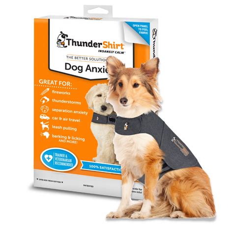 Image result for How to Make a Thundershirt for My Dog