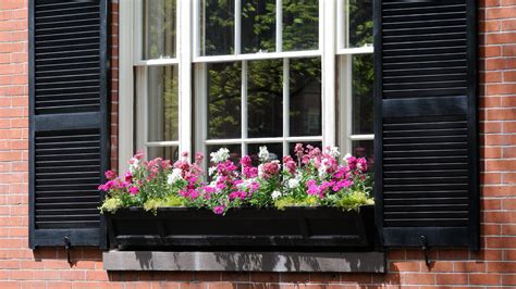 Average Cost of Replacement Windows Installed-এর ছবি ফলাফল