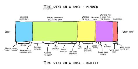 Image result for Timeline Paper Example