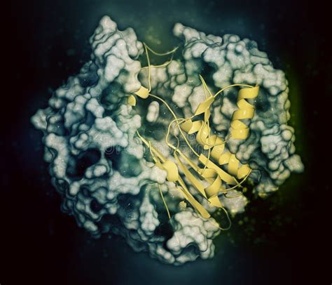 Image result for GGT Java