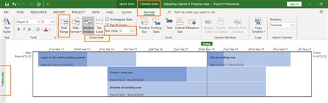 Image result for MS Project Timeline View