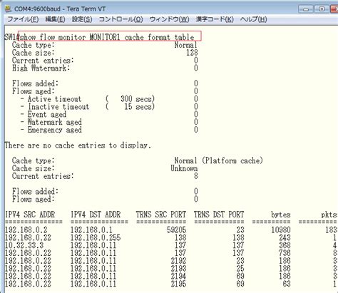 NetFlow Output に対する画像結果