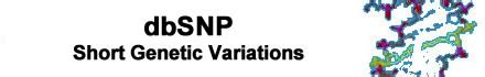 Image result for dbSNP Database PPT