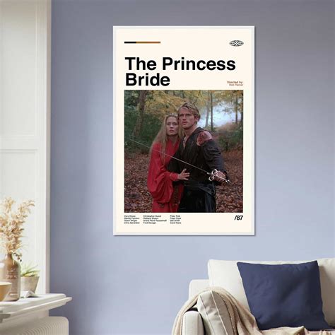 Image result for The Princess Bride Movie Poster Background