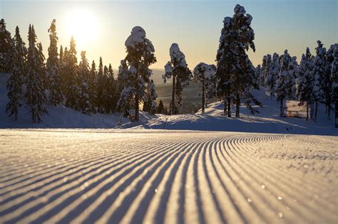 Ski Carving Lessons に対する画像結果