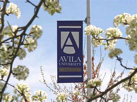 Science Accounting に対する画像結果