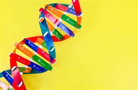 Afbeeldingsresultaten voor DNA Lines Code