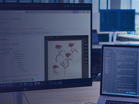 Toradh íomhá ar Collection Management System