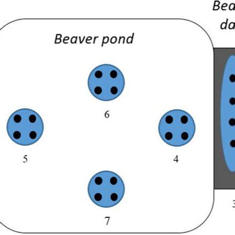 Composite Sampling at Beach に対する画像結果