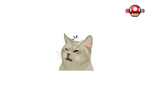 Image result for Loading Progress Bar Meme