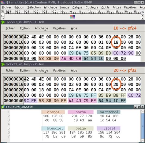 Image result for Lazarus Bitmap