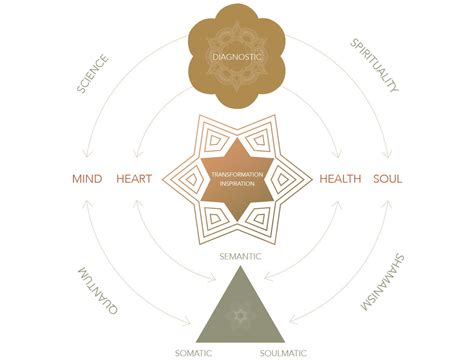 Transformation Process Chart に対する画像結果