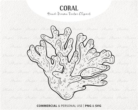 Toradh íomhá ar Coral Reef Outline