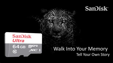 Résultat d’images pour Original SanDisk Memory Card