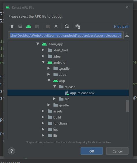 Bildergebnis für App Debug Apk