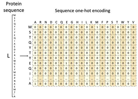 One Hot Encoding Matrix に対する画像結果