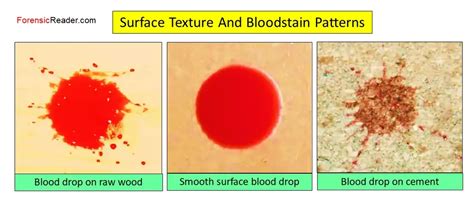 6 Blood Spatter Patterns に対する画像結果