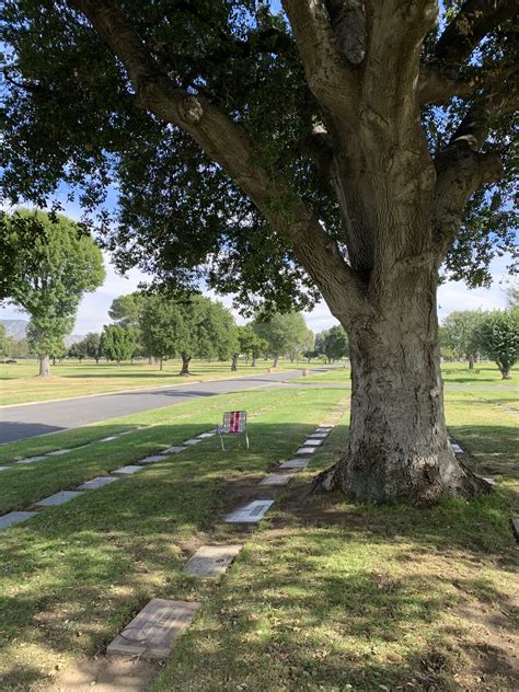 Sitting in the Shade of Tree-க்கான படிம முடிவு
