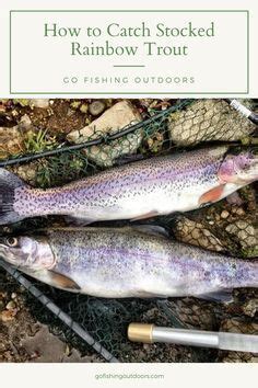 How to Catch Stocked Trout に対する画像結果