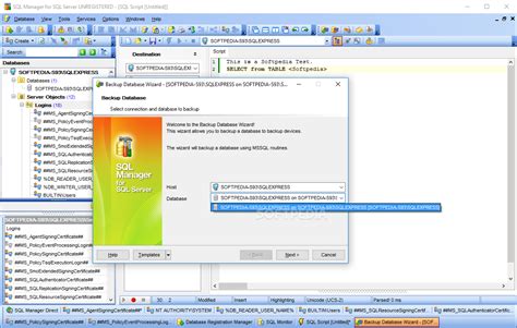 Image result for Single exe SQL Manager