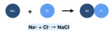 Image result for Ionic Equations GCSE Chemistry