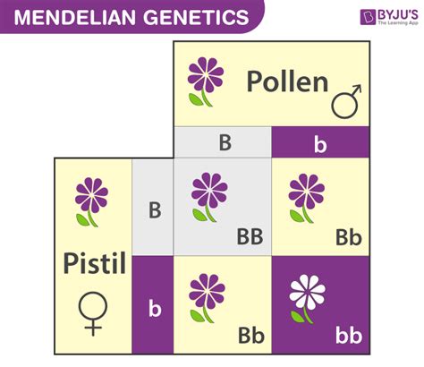 Basic Mendelian Genetics に対する画像結果