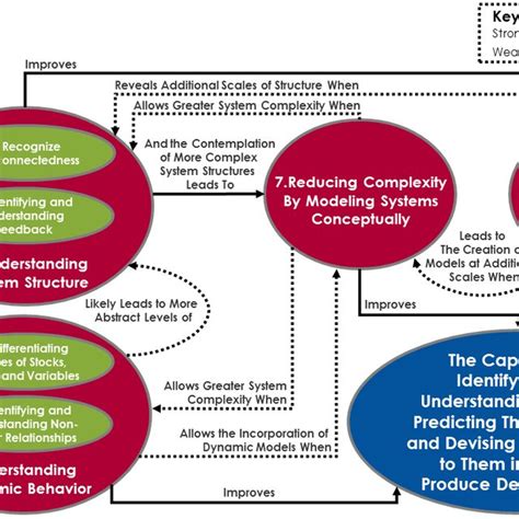 Aspen Tree Root System に対する画像結果
