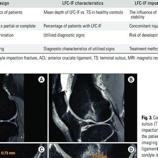 Toradh íomhá ar Data Domains Process Flow