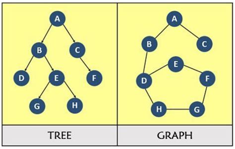 Image result for How to Graph Branches to a Tree to Make Tree Fuller